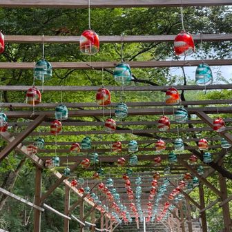 竈門神社からスタート　風鈴🎐が涼しげ…