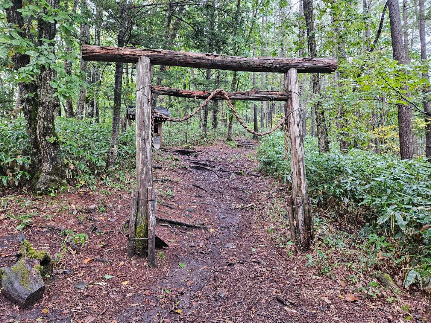 飯縄山 往復コースの写真