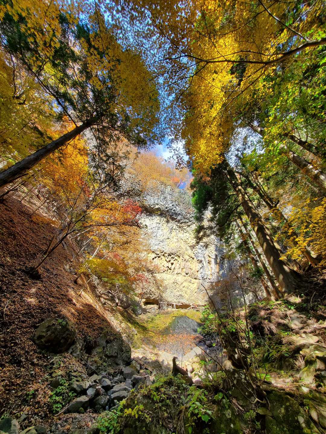 紅葉にかこまれてます