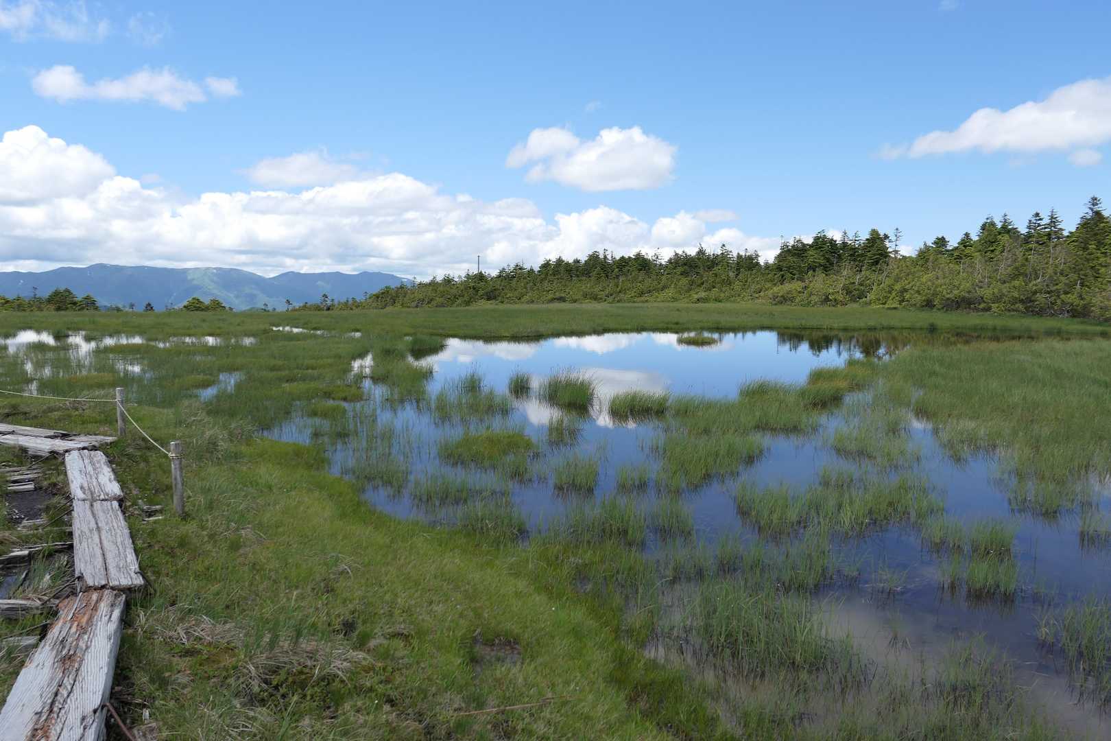 猿倉登山口-田代山-帝釈山-馬坂峠登山口-台倉高山 周回コースの写真