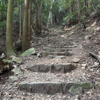 青谷道って...