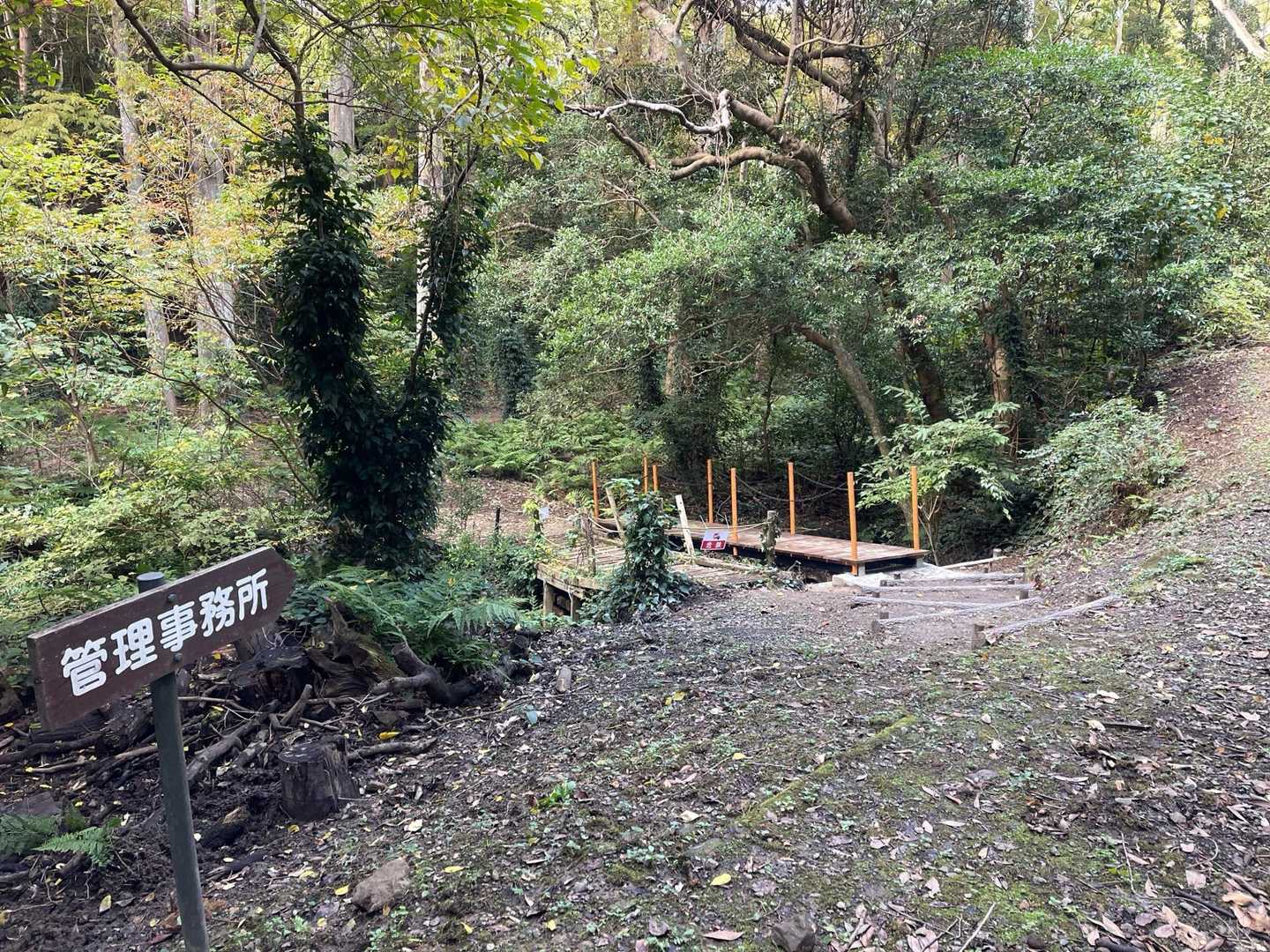 新しい橋が開通していました。