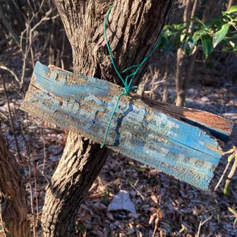 岩崎観音山
本日の第一ピーク