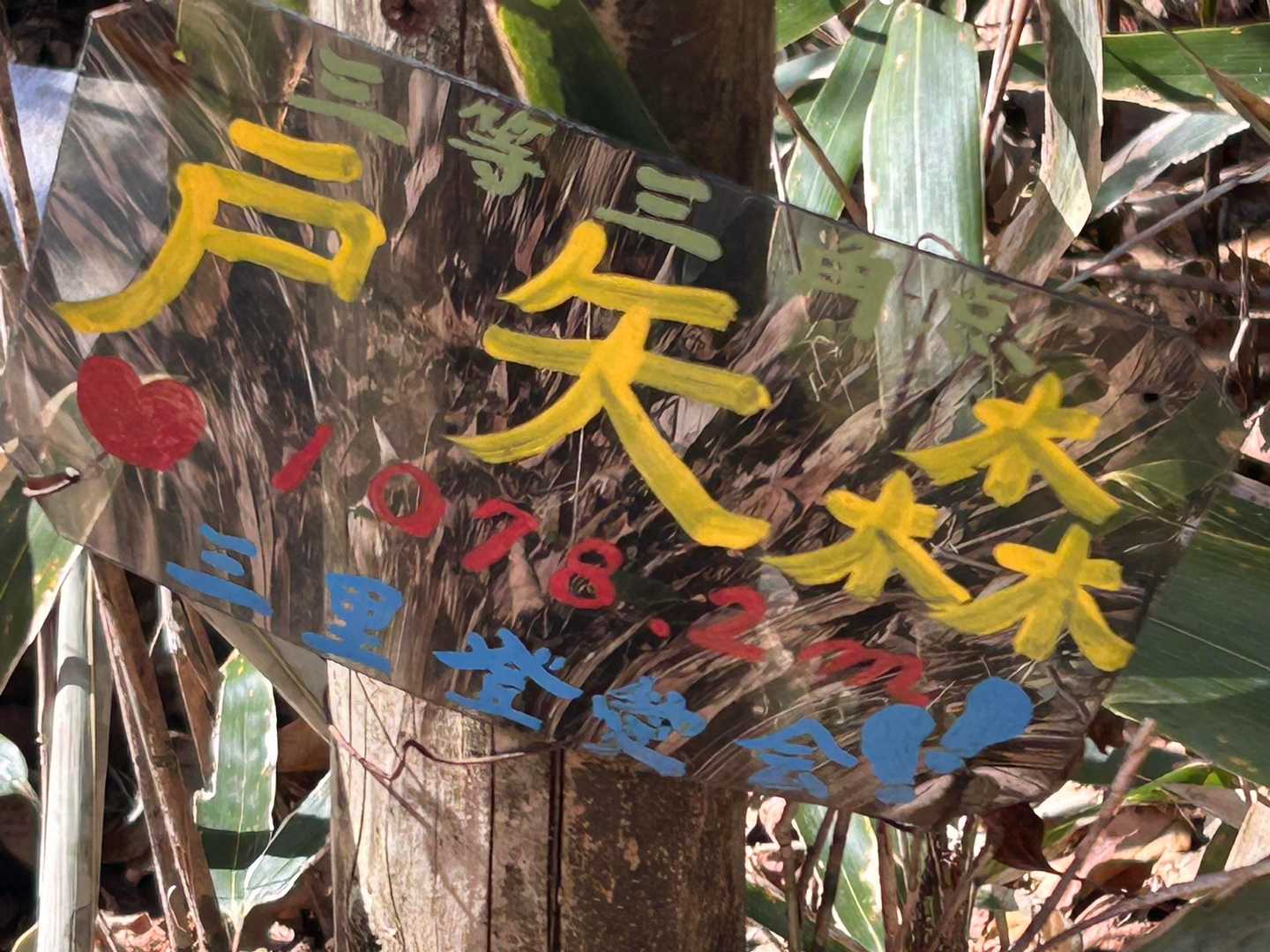 山頂😆