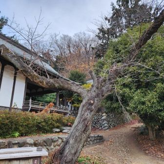下山しました。一番近い桜沢駅だと帰宅に時間がかかるので、寄居駅まで歩いてお疲れ山🤗
実は今日下山でまた少し膝が痛くなってしまって…それほど歩いていないのにショック🥲ケア頑張ります。