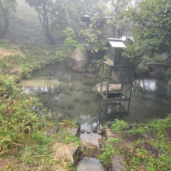 長者池🟦
黒谷の源流はここから🏞
なんか嫌だな…