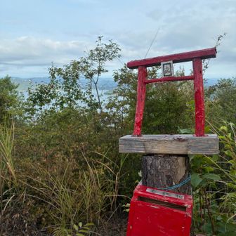 金運スポットにある賽銭箱