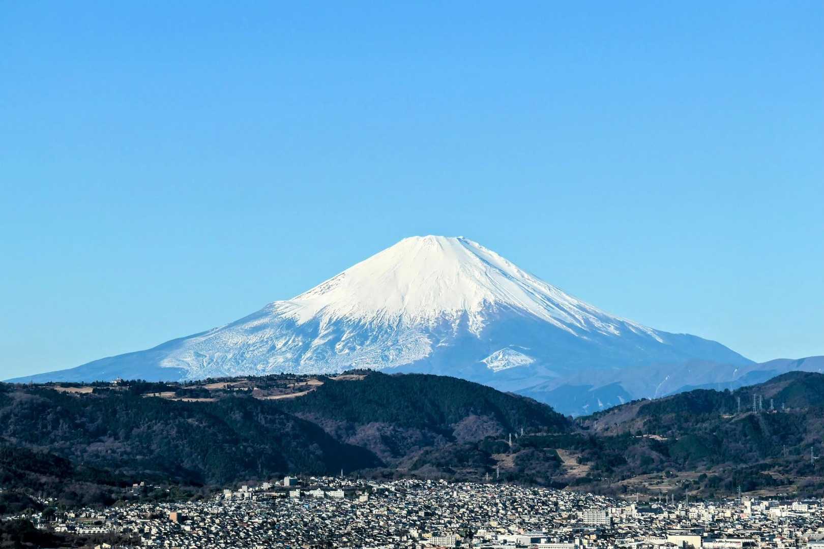 バッファロー山 パタゴニア]ブラックホール・ダッフル55L / patagonia（パタゴニア