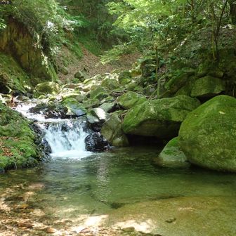 今日は水晶山登った。
先日は長石谷から鎌ヶ岳登った。
今度雲母峰登れば花崗岩コンプリート🪨