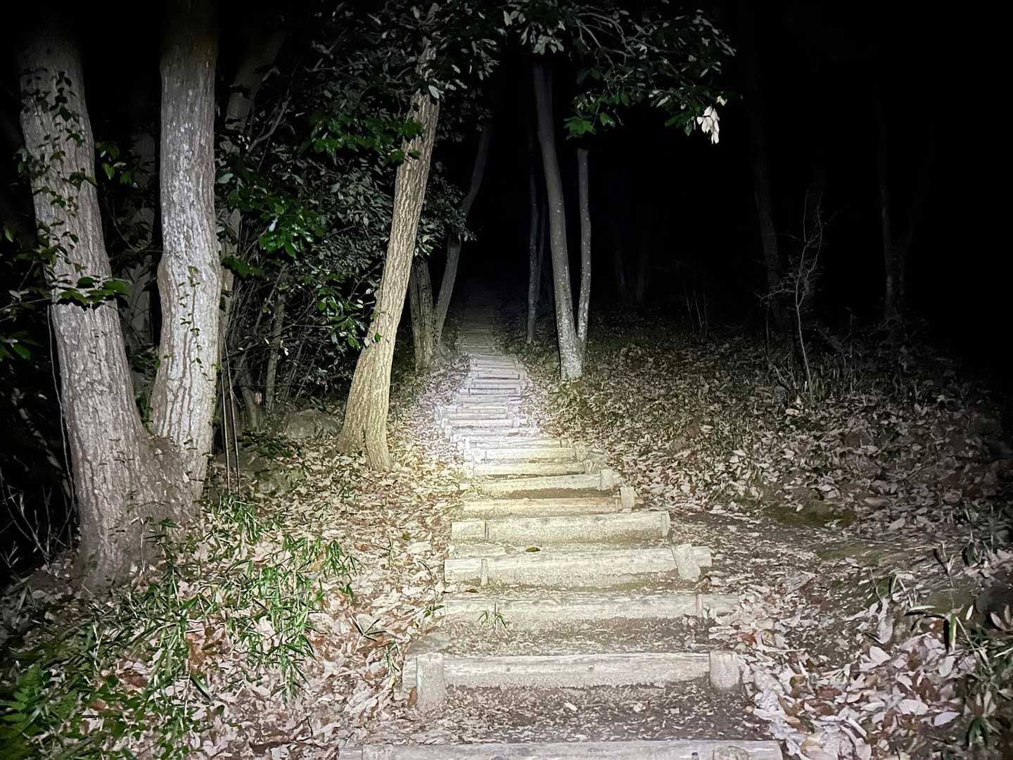人気の福山なので誰かひとりくらいいるかと期待してたけど、今日は最初から最後までおひとり様。
怖いので下だけ向いて黙々登ります。