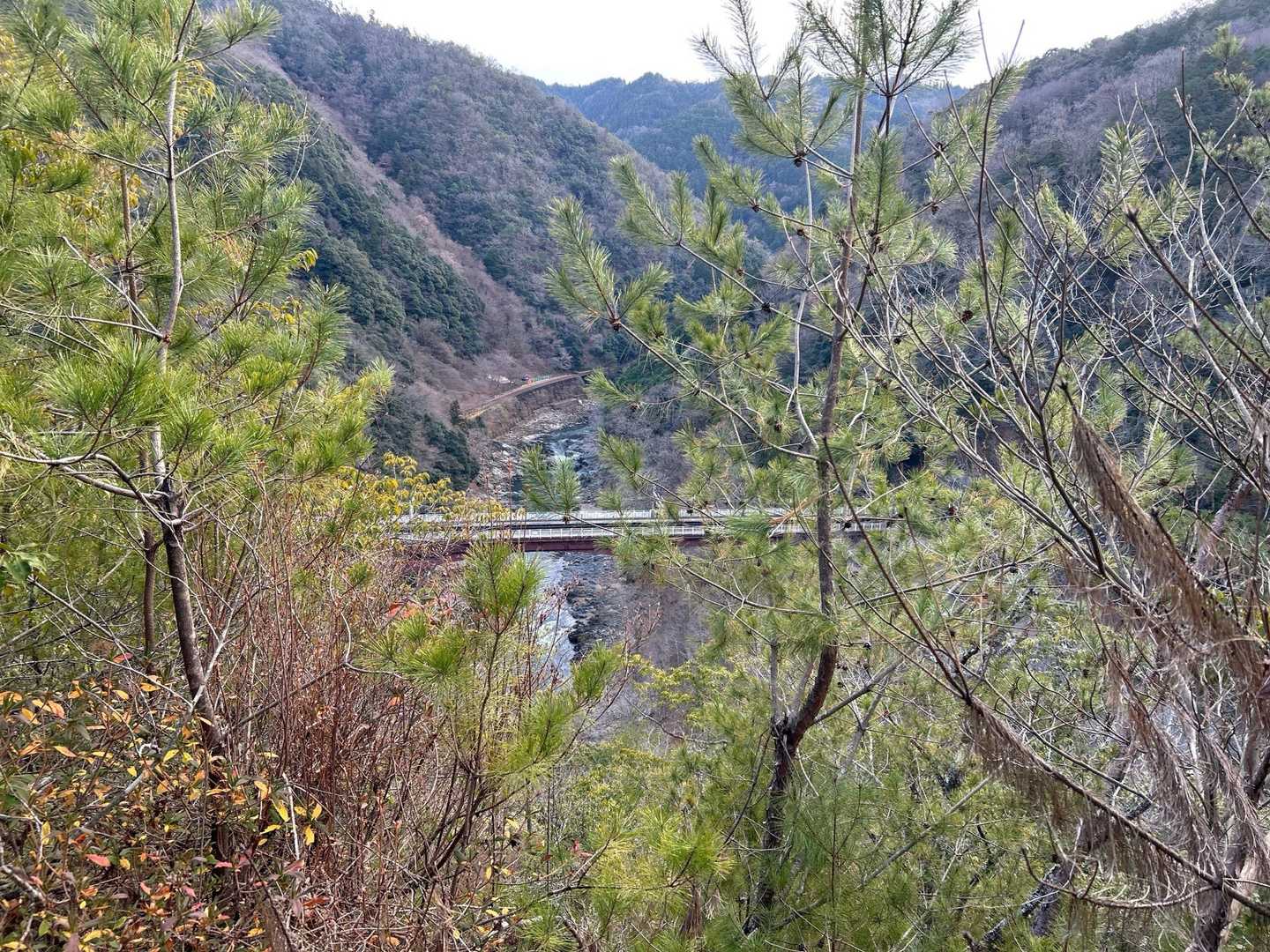 荒神峠-愛宕山 往復コースの写真