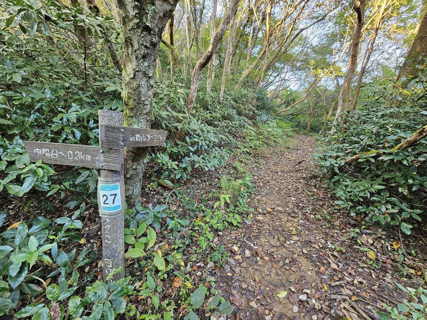 鞍掛山-羽黒山-神峰山-御岩山-高鈴山-助川山 縦走コースの写真