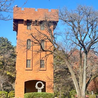 マリオの塔にも見えてきたw
でっかいパクパクチューリップがでてきそう。
(あの曲が脳内でかかる笑)