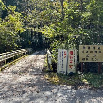 このクラガリ谷林道も通行止めとのこと。トラックが通るのでしょうか。期間も書いていないのでこの山の整備には時間は相当かかりそうです。