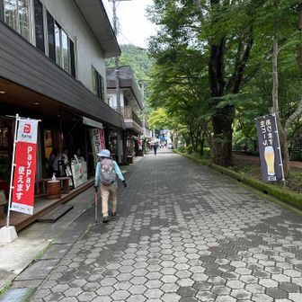 町におりました😮‍💨
鮎の塩焼きと味噌だれの串団子が名物のようです。