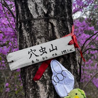 ここ素敵やった
ピンクワールド🎀💕💓💗