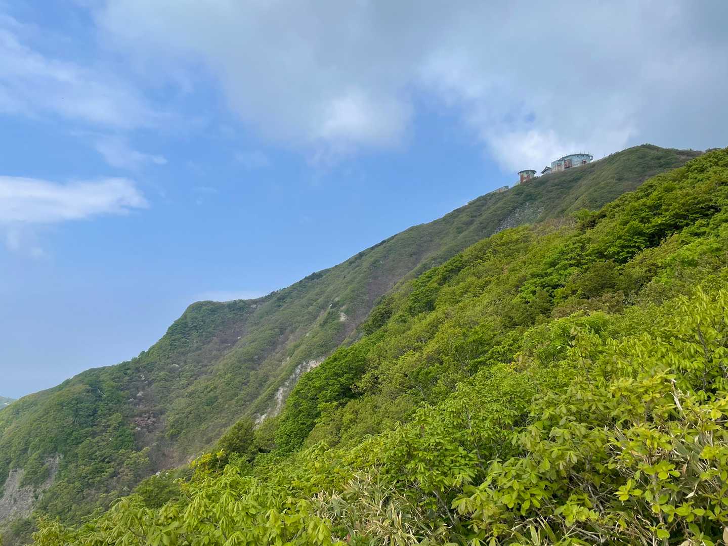名残惜しくて振り返る