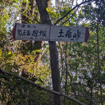 標識があった！
人工物、これまた嬉しすぎ😭