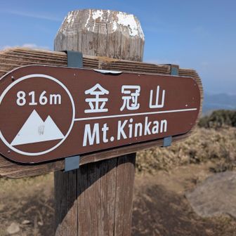 来たかったので嬉しい