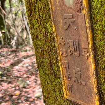 天則点にも寄って行こう