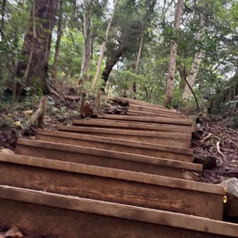 ６号路最後の階段地獄