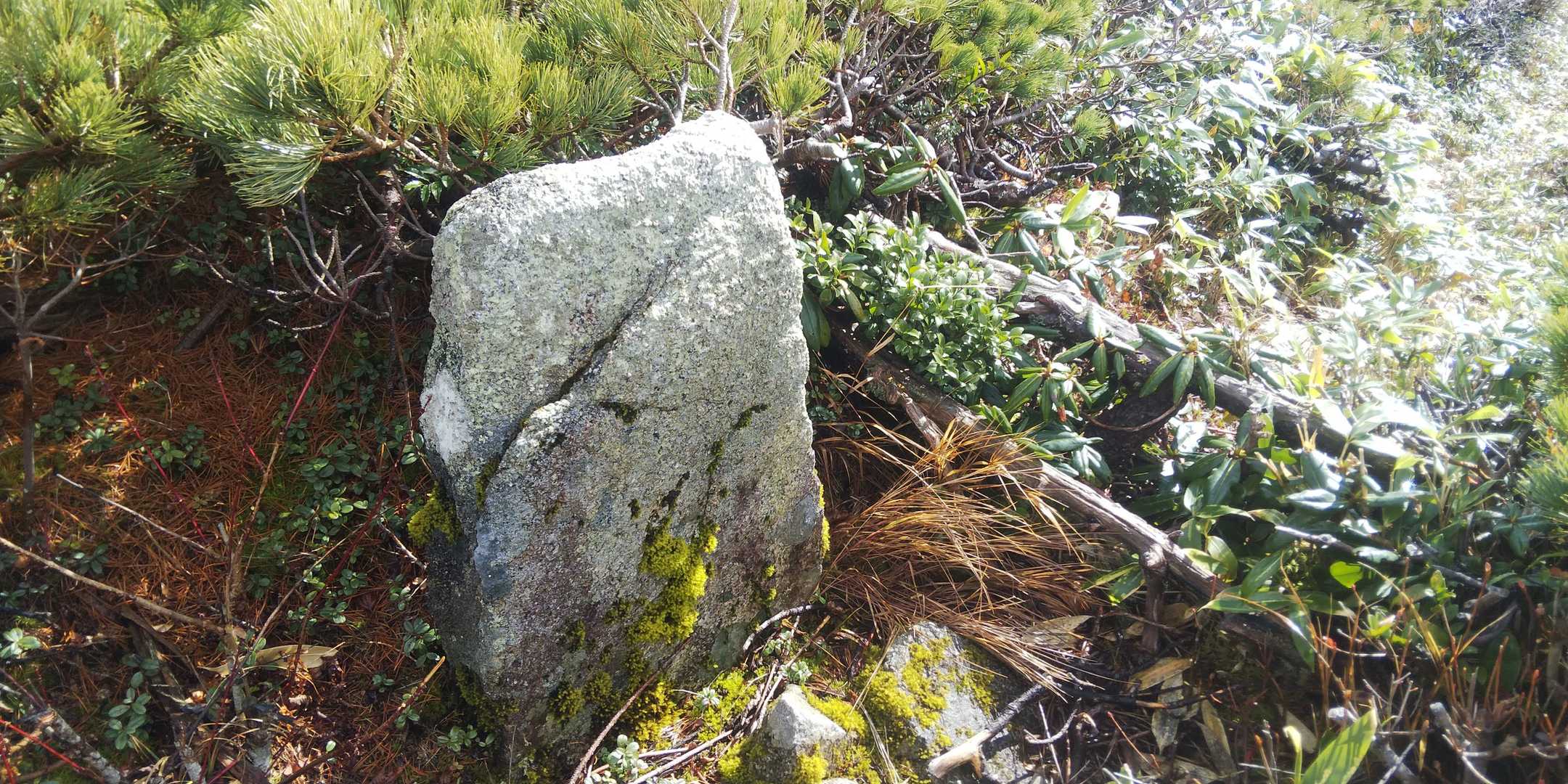 前御影森山の山頂標
