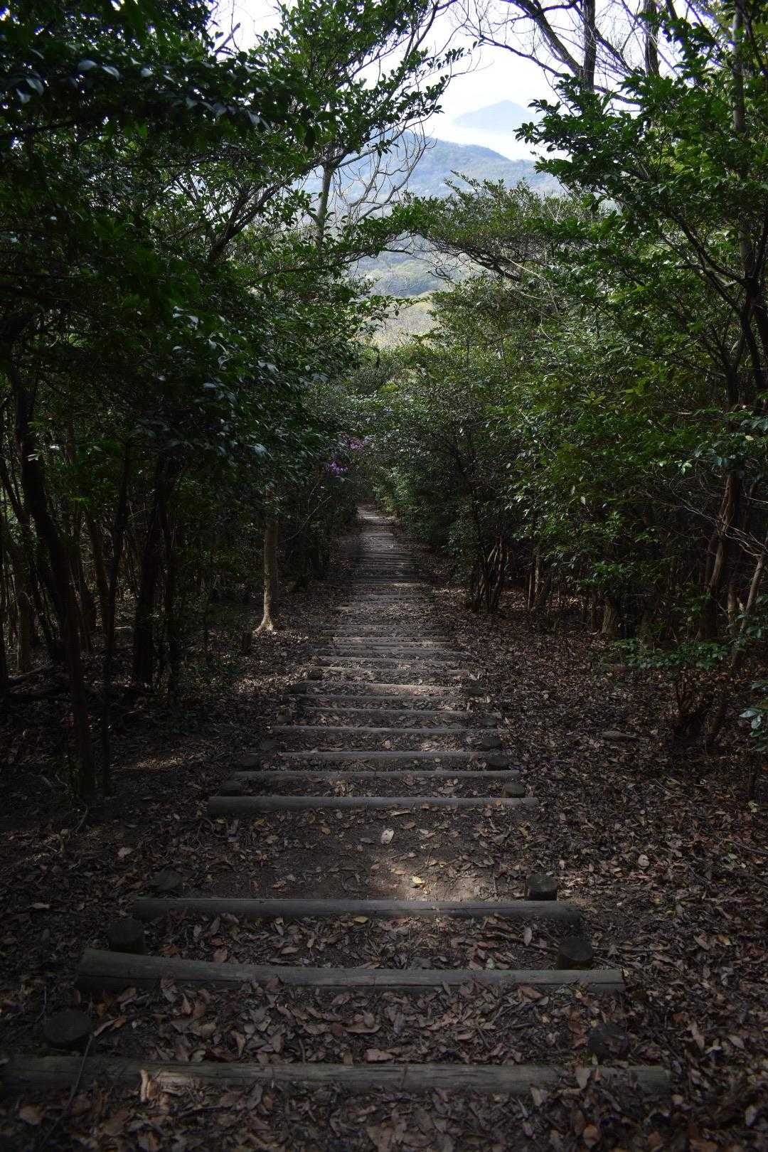さて、階段地獄で帰りますか。
以上、ご閲覧ありがとうございました😊