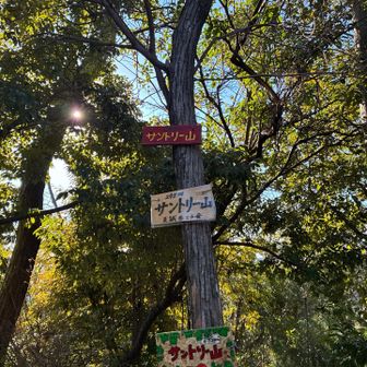 サントリー山⛰️
近くにサントリーの山崎蒸留所があるからと思われる🤥