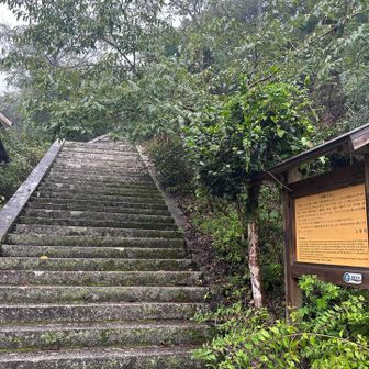 登ります