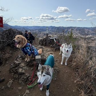 生瀬富士⛰️
なんとか登頂😮‍💨