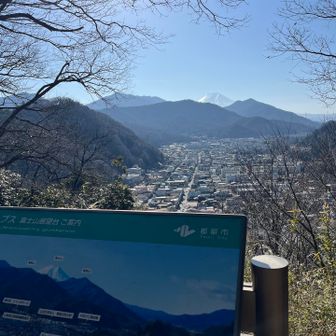 たぶん都留市駅から登った方が午前中なので富士山が綺麗に見えるのかもしれない。昼過ぎると逆光で写真も撮れてるかわからない感じ。