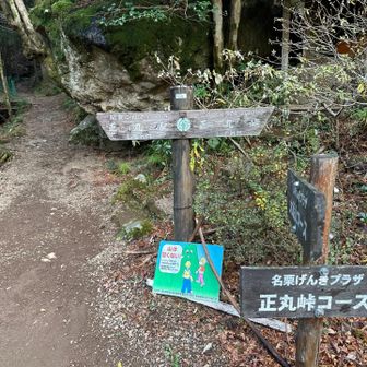 ここから登山道です