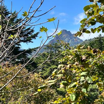 無事下山
石鎚山お出迎え