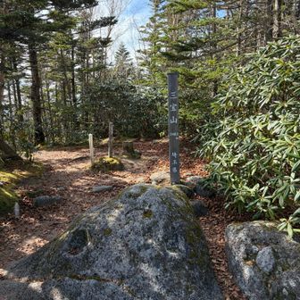 埼玉県最高峰三宝山山頂。展望が無い！