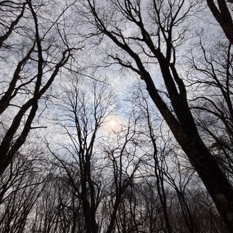 太陽出てきた🌞♡