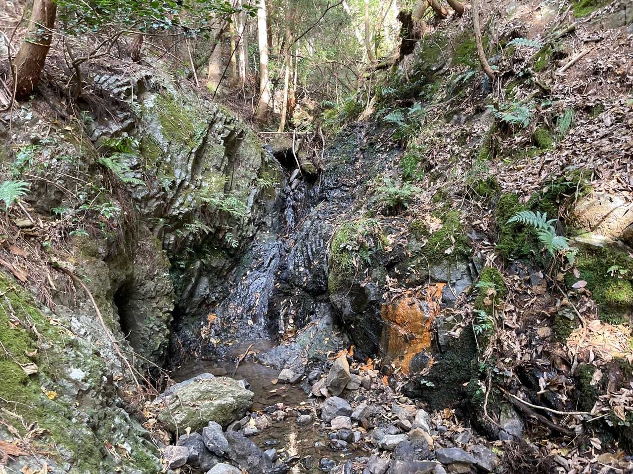何度か沢を渡ります