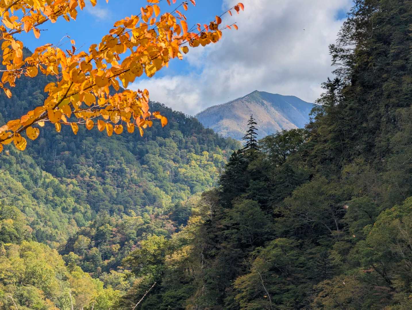 目指す日髙の山