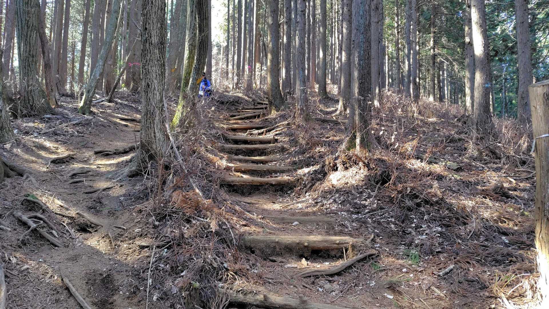 急登の始まり