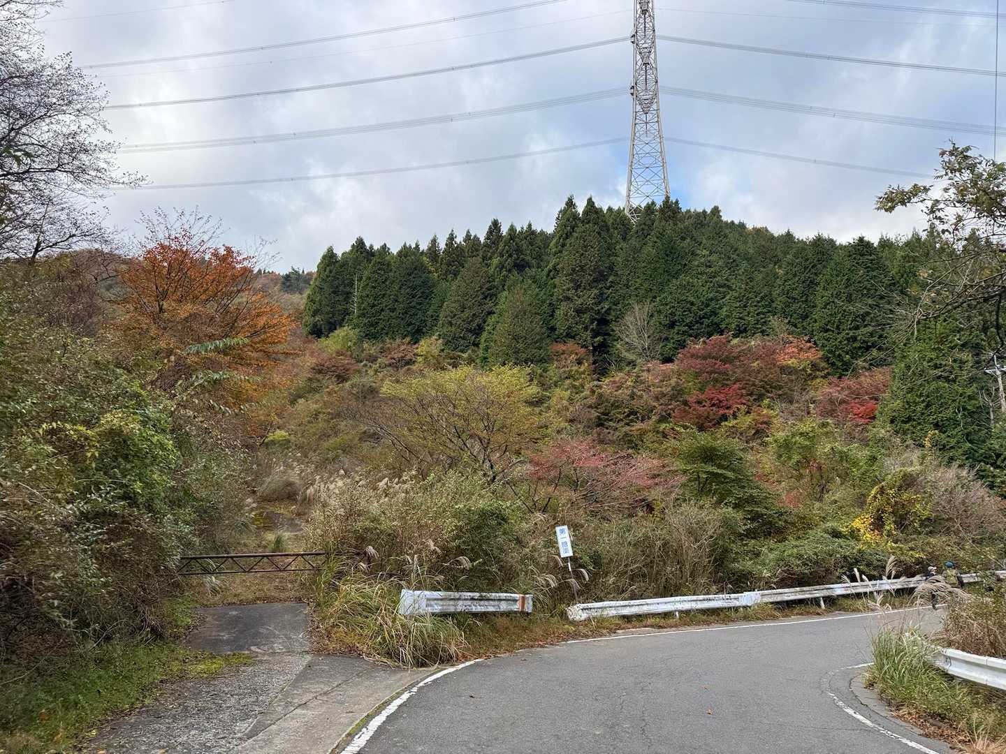 バスを降りて、まずは林道を緩やかに下っていきます。