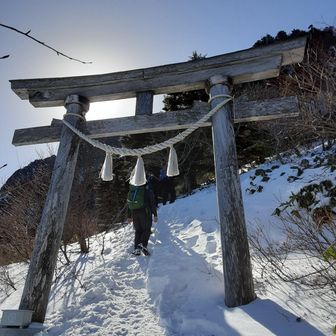 例の鳥居！
ついに来たかって感じです。
