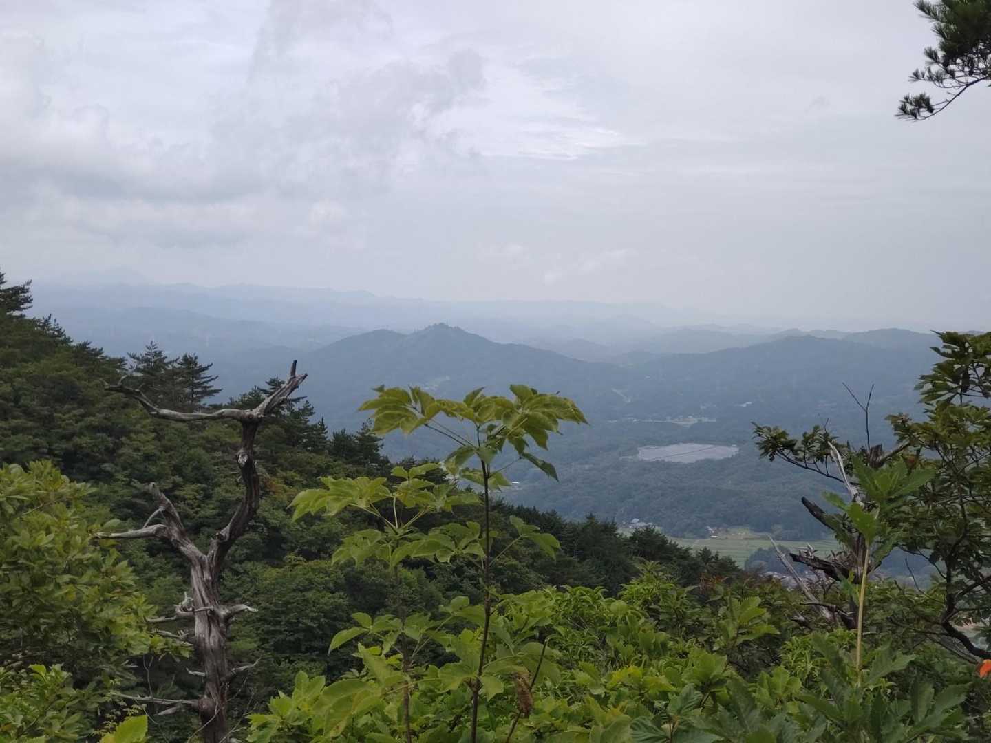 玉峰山 周回コースの写真