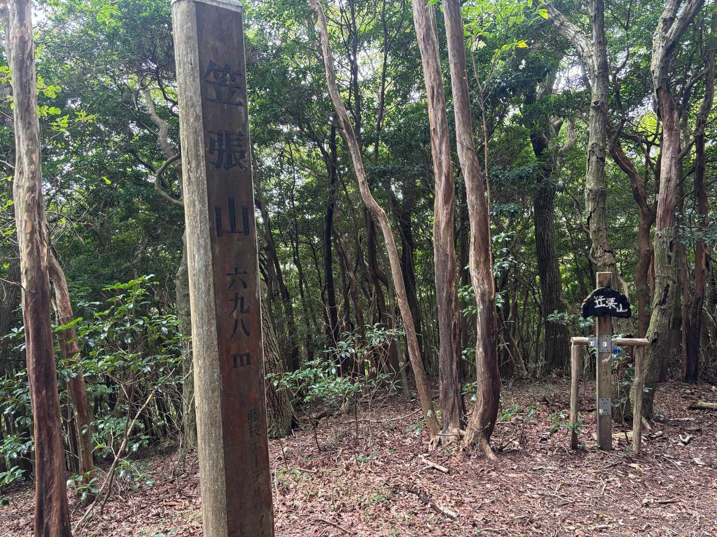 山頂到着