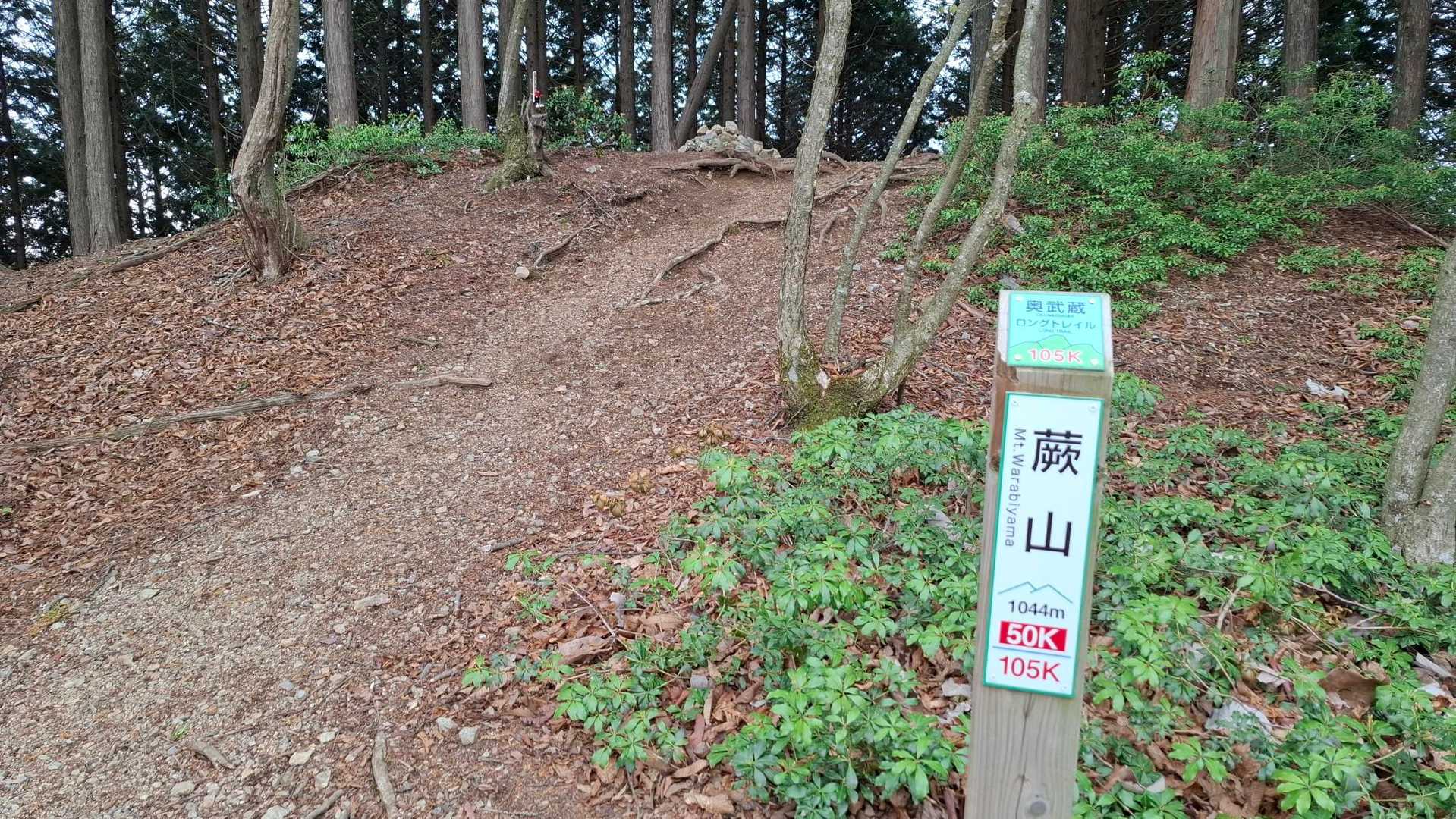 この上が山頂