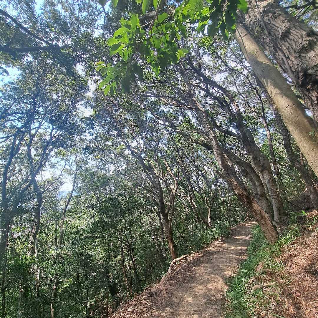 …暑いし。なんかごめんね鉄拐山