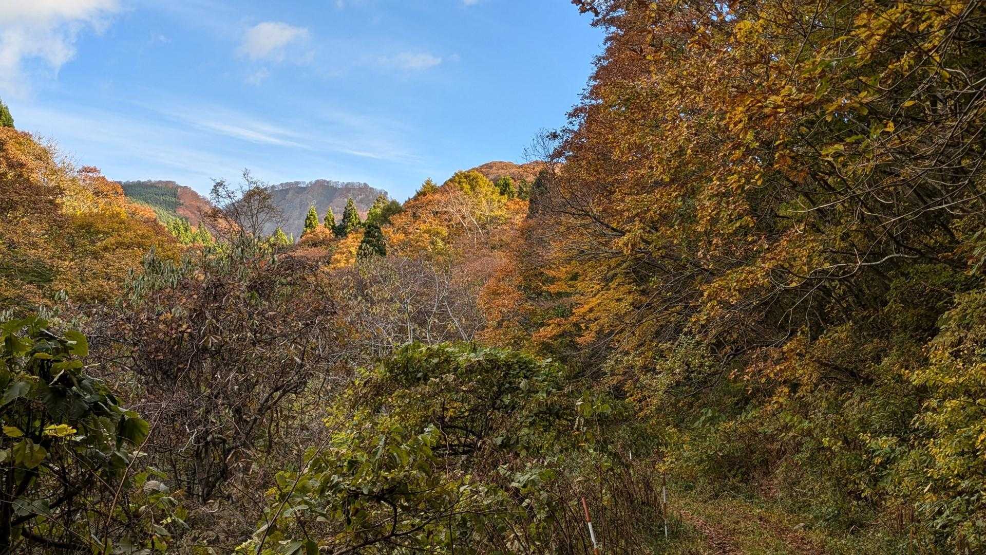 多分…中央奥の山がヤンカ山