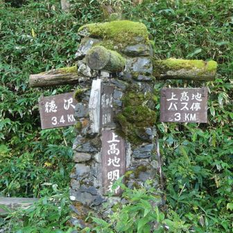 いつか、ここを左に行くことはあるのだろうか？