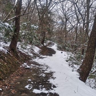 雪はうっすら。
