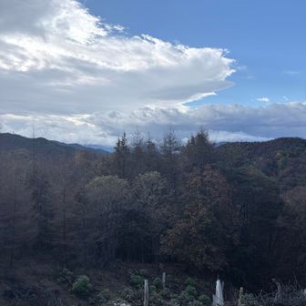 いい天気
