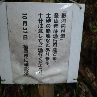 隅っこの目立たないとこに、ひっそりと
「登山者通行可能」の張り紙があります😆
なぜ登山者ならOKなのか、、謎が深まります
