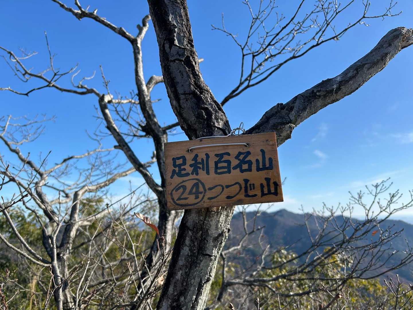 つつじ山 ᨒ𖡼.𖤣𖥧